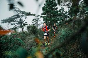 BIB: 
                            <button type="button" onclick="openModal(25258721)" class="btn btn-primary btn-sm float-right btn-popup" data-toggle="modal" data-target=".modal-high-quality">
                        <i class="fas fa-shopping-cart"></i> Add to Cart
                    </button>
                                            <button type="button" onclick="isThisMe(25258721, true)" class="btn btn-success btn-sm float-right btn-popup btn-isme hidden" data-toggle="tooltip" data-placement="bottom" title="นี่คือรูปของคุณใช่ไหม คลิกที่นี่เพื่อเอาเข้าอัลบั้ม">
                        <i class="fas fa-plus"></i> Add to album
                    </button>
                    <button type="button" onclick="isThisMe(25258721, false)" class="btn btn-warning btn-sm float-right btn-popup btn-isnotme hidden">
                        <i class="fas fa-ban"></i> Remove from album
                    </button>